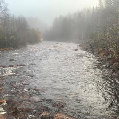 Fämtan, i norra Värmland, är ett av vattendragen som ingår i projektet. Foto: Länsstyrelsen Värmland