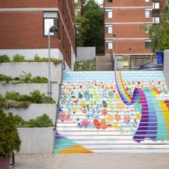 Foto: Stockholms studentbostäder, SSSB.
