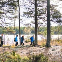 Länsstyrelserna skjuter många nödvändiga åtgärder för friluftslivet och naturvården på framtiden. Foto: Friluftsfrämjandet
