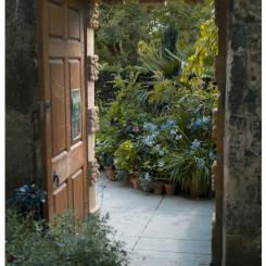 garden foto unsplash
