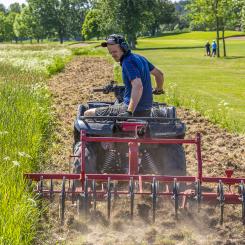 Sigtuna golfbana har satsat på en blomstrande ruff. Foto: Ola Jennersten, WWF