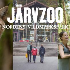 Foto: Järvsö