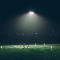 Kolonilotterna flyttas då den nya konstgräsplanen på Andersberg ska byggas. Foto: abigail keenan/unsplash
