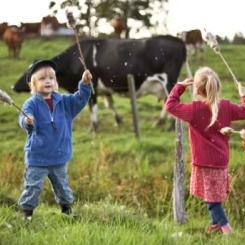 Genrebild, barn vid kohage. Foto: Scandinav