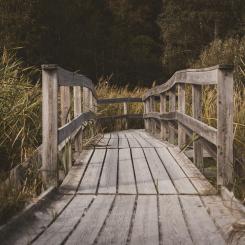 Mariebergsskogen i Karlstads stadspark. Foto: Lukas Stoermer/Unsplash