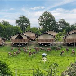 Wild Lodge med kronhjortar. Foto: Skånes djurpark