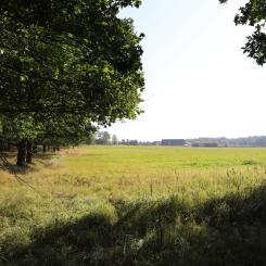 Erstaviks naturområde. Foto: Nacka kommun