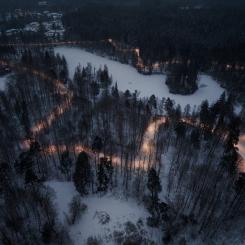 Fladdermöss reglerar insekter och stärker ekosystemet, men störs lätt av ljus. Därför är naturanpassad belysning avgörande. Foto: Zlatan Softic/DEFA.