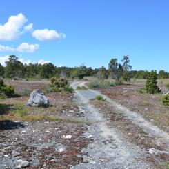 Bästeträsk. Fotograf: Magnus Martinsson, länsstyrelsen Gotland