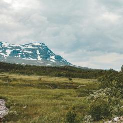 Abisko. Foto: philip myrtorp/unsplash