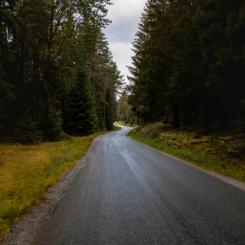 Tyresta nationalpark och naturreservat, Vendelsö. Foto: Simon N/Unsplash