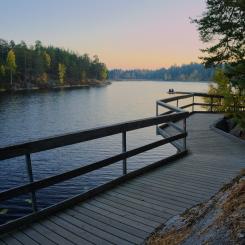 Handen. Foto: karlo boni/unsplash