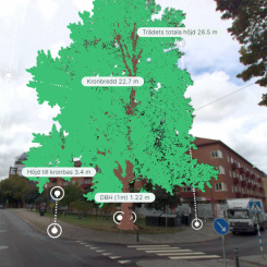 Vy från det verktyg som används för inventering av Malmös gatuträd. Bild Malmö stad