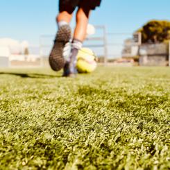 För att möta förbudet investerar Nordiska ministerrådet upp till 7 miljoner danska kronor i ett forskningsprojekt som ska driva utvecklingen mot miljövänliga material i Norden. Foto: Elly Ch./Unsplash