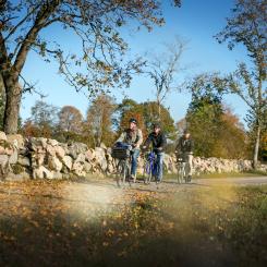 Cykelleden kommer att  sträcka sig mellan kommunerna Karlsborg, Tibro, Skövde, Skara och Lidköping. Foto: Next Skövde