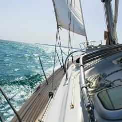 Bakom etableringen av mässan anges ett uttalat behov från både branschen och besökare. Foto: Little John /UNSplash