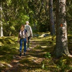 Foto: Skogsstyrelsen