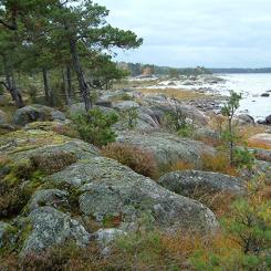 I Vänern, utanför Mariestad ligger ön Onsö, vars rika natur sedan 2005 skyddas som naturreservat. Foto: Länsstyrelsen Västra Götaland