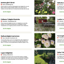 Rekordmånga trädgårdsägare deltar i årets Öppen Trädgård. Foto: Land