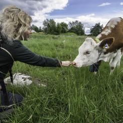 Jenny Jewert, WWF. Fotograf: Ola Jennersten