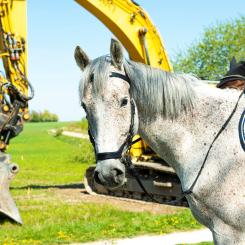 Ridhuset, beläget i Ladugårdsmarken i norra delen av Lund, kommer rymma 50 hästar, ridhus, ridbana med ridväg och hagar. Foto:  Lunds kommun