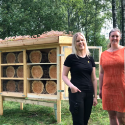Bilden visar markförvaltare Zandra Löfqvist och kommunalråd Monika Bubholz vid invigningen av kommunens stora insektshotell på Gubbholmen. Foto: Karlstads kommun