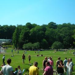 Slottsskogen. Foto: Wikipedia