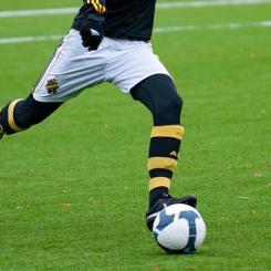 Ny hemvist i Solna Foto: Solna stad