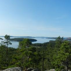 Svensk Orientering söker EM, Veteran-VM och VM. Foto: Svenska Orienteringsförbundet