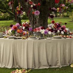 Kullafloristens utställning i dahliakvarteret. Foto: Anders Ahlgren