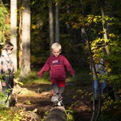 Den nya versionen av Trollskogen kommer att ta emot sina första besökare i slutet på maj. Foto: Vänersborgs kommun