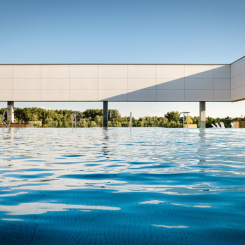 Kampsportsfestivalen. Foto: Stockholmsmässan