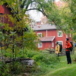 Vandring på Utvandrarleden i Småland Foto: Eric Solie/