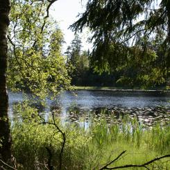Badställen, fiskevatten och fågeltorn finns nära Vänersborgs stadskärnan. Foto: Vänersborgs kommun