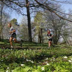 Vårmilens vackra löparspår. Foto: Lidingöloppet