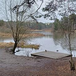 Västra bryggan vid Råcksta träsk Foto: Wikimedia Commons
