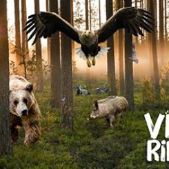 Bild: Vildriket
